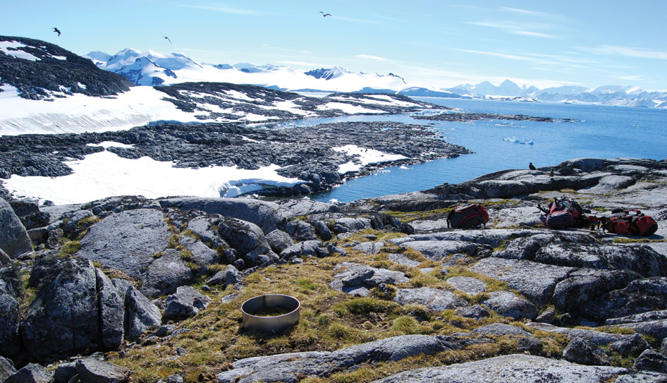 vegetation-antartic-TonoCosmos