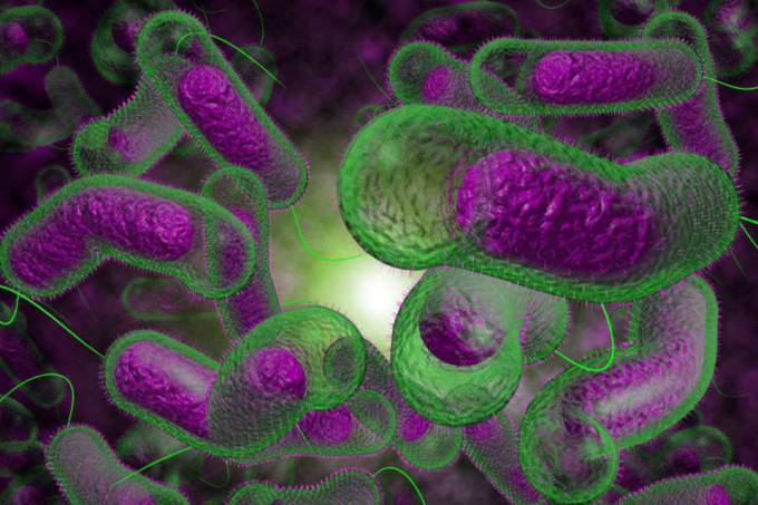 bacteria-tonocosmos