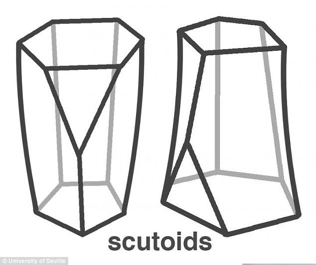 scutoid